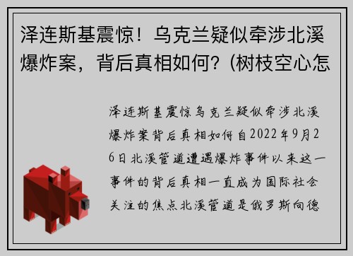泽连斯基震惊！乌克兰疑似牵涉北溪爆炸案，背后真相如何？(树枝空心怎么办)