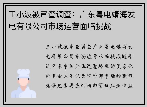王小波被审查调查：广东粤电靖海发电有限公司市场运营面临挑战